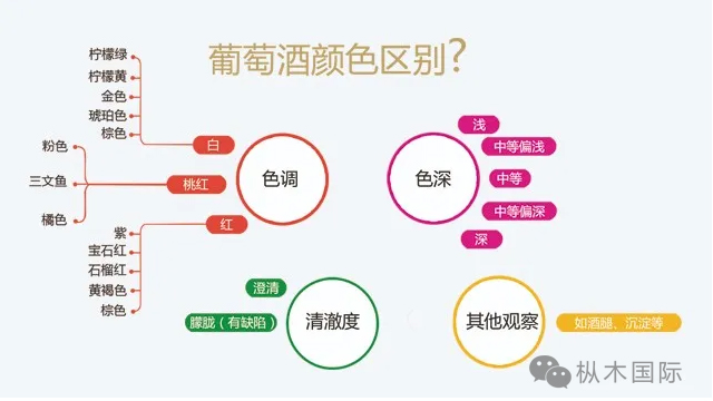 如何觀葡萄酒顏色？.jpg